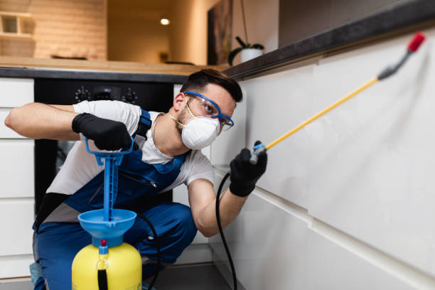 Reliable Green Knoll, NJ Pest Control Solutions