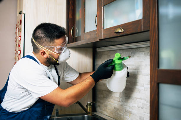 Best Affordable Pest Control Services  in Green Knoll, NJ