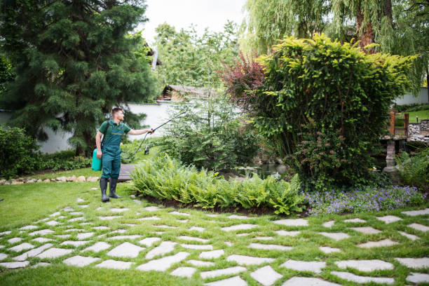 Best Mosquito Control Services  in Green Knoll, NJ