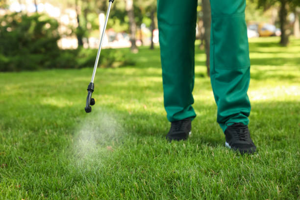 Best Cockroach Control Services  in Green Knoll, NJ