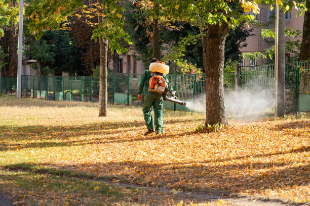 Best Affordable Pest Control Services  in Green Knoll, NJ