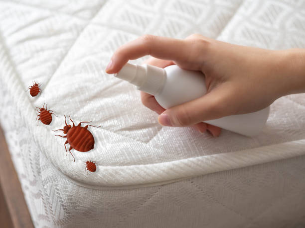 Best Flea Control Services  in Green Knoll, NJ