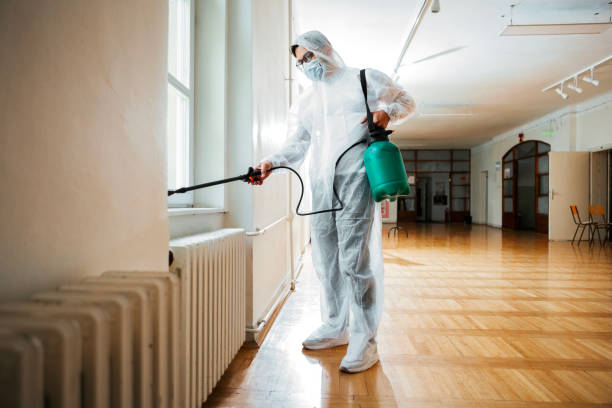 Best Insect Control  in Green Knoll, NJ