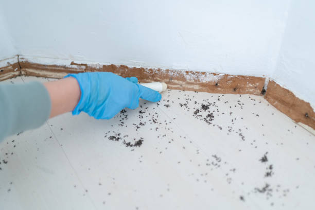 Best Residential Pest Control  in Green Knoll, NJ