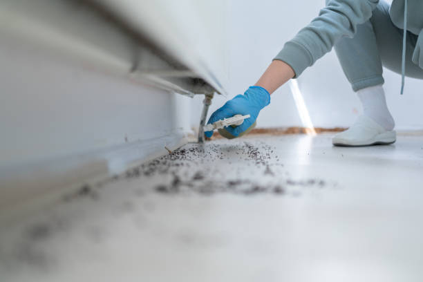 Best Pest Inspection Near Me  in Green Knoll, NJ